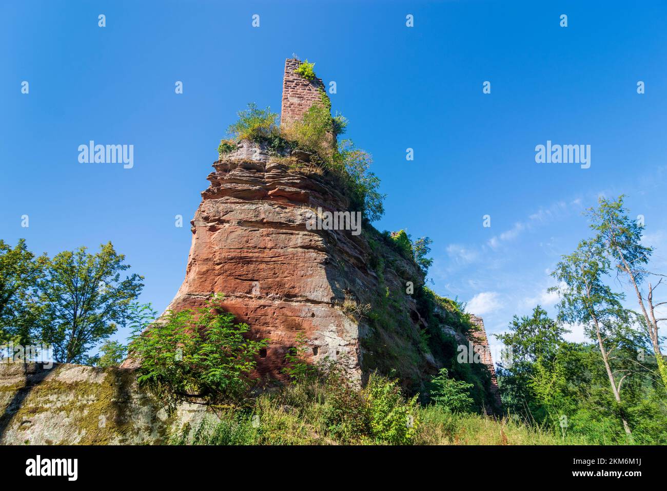 Niedersteinbach: Castello di Wasigenstein nella foresta di Palatinato-Riserva della Biosfera dei Vosgi del Nord (Biosphärenreservat Pfälzerwald-Nordvogesen, Réserve de bios Foto Stock