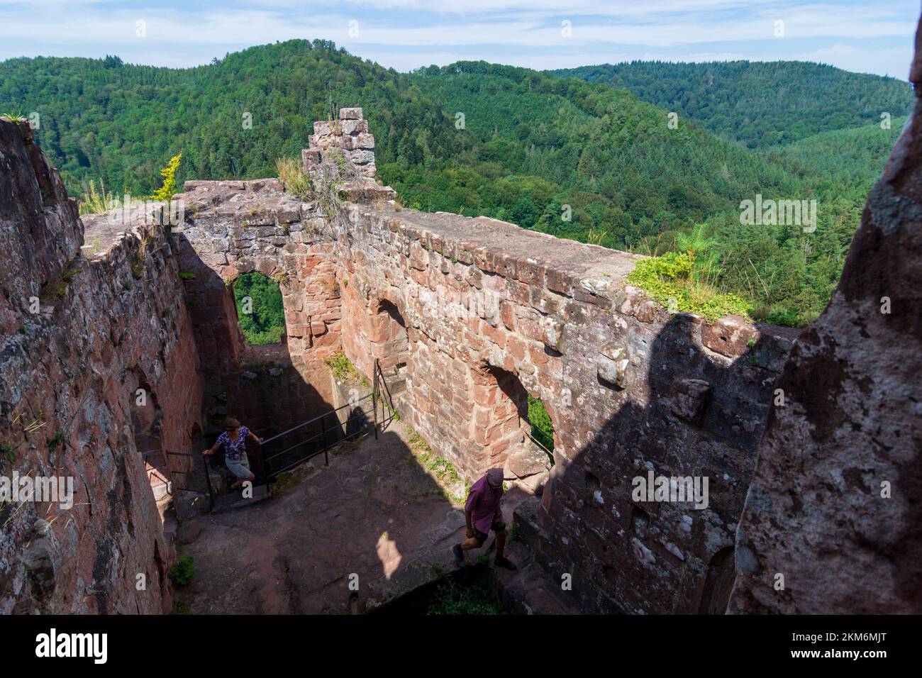 Niedersteinbach: Castello di Wasigenstein nella foresta di Palatinato-Riserva della Biosfera dei Vosgi del Nord (Biosphärenreservat Pfälzerwald-Nordvogesen, Réserve de bios Foto Stock