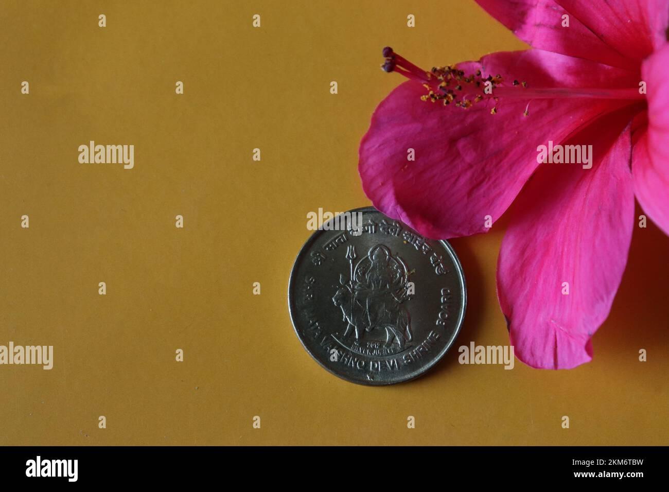 Primo piano della moneta Shree Mata Vaishno Devi e del fiore di ibisco su sfondo giallo Foto Stock