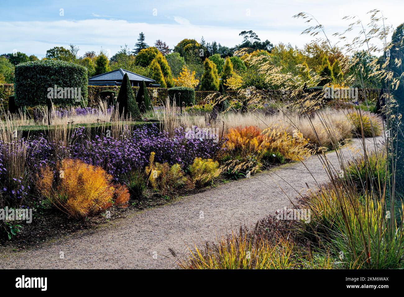 Colore autunnale e interesse nel moderno Country Garden a RHS Hyde Hall. Foto Stock