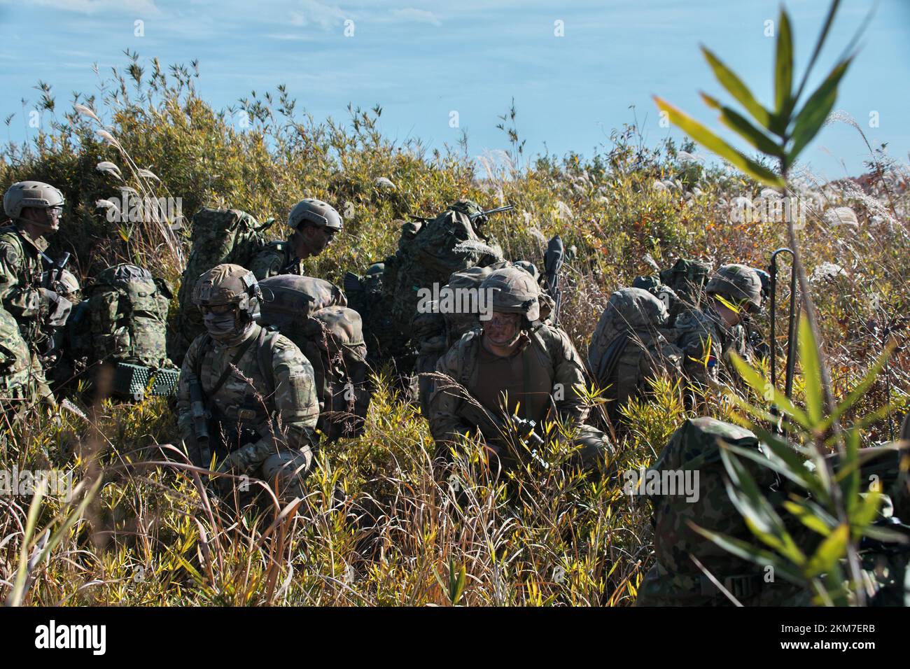 Shinto, Giappone. 26th Nov 2022. Membro del Giappone Ground Self-Defense Force's 1st Airborne Brigade e British Army '1st Royal Horse Artillery Regiment partecipare al Regno Unito e Giappone esercizio militare congiunto 'Isole Vigilant' a Somagahara manovra Area in Gunma-Prefecture, Giappone Sabato, 26 novembre 2022. Foto di Keizo Mori/UPI Credit: UPI/Alamy Live News Foto Stock