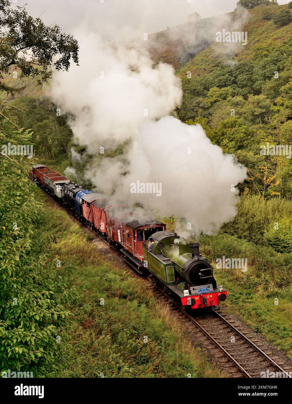 Lambton Colliery Railway 0-6-2 Locomotiva n. 29 che passa Darnholme con una navetta per il trasporto merci sulla North Yorkshire Moors Railway. Foto Stock Lambton Colliery Railway 0-6-2 Locomotiva n. 29 che passa Darnholme con una navetta per il trasporto merci sulla North Yorkshire Moors Railway. Foto Stock
