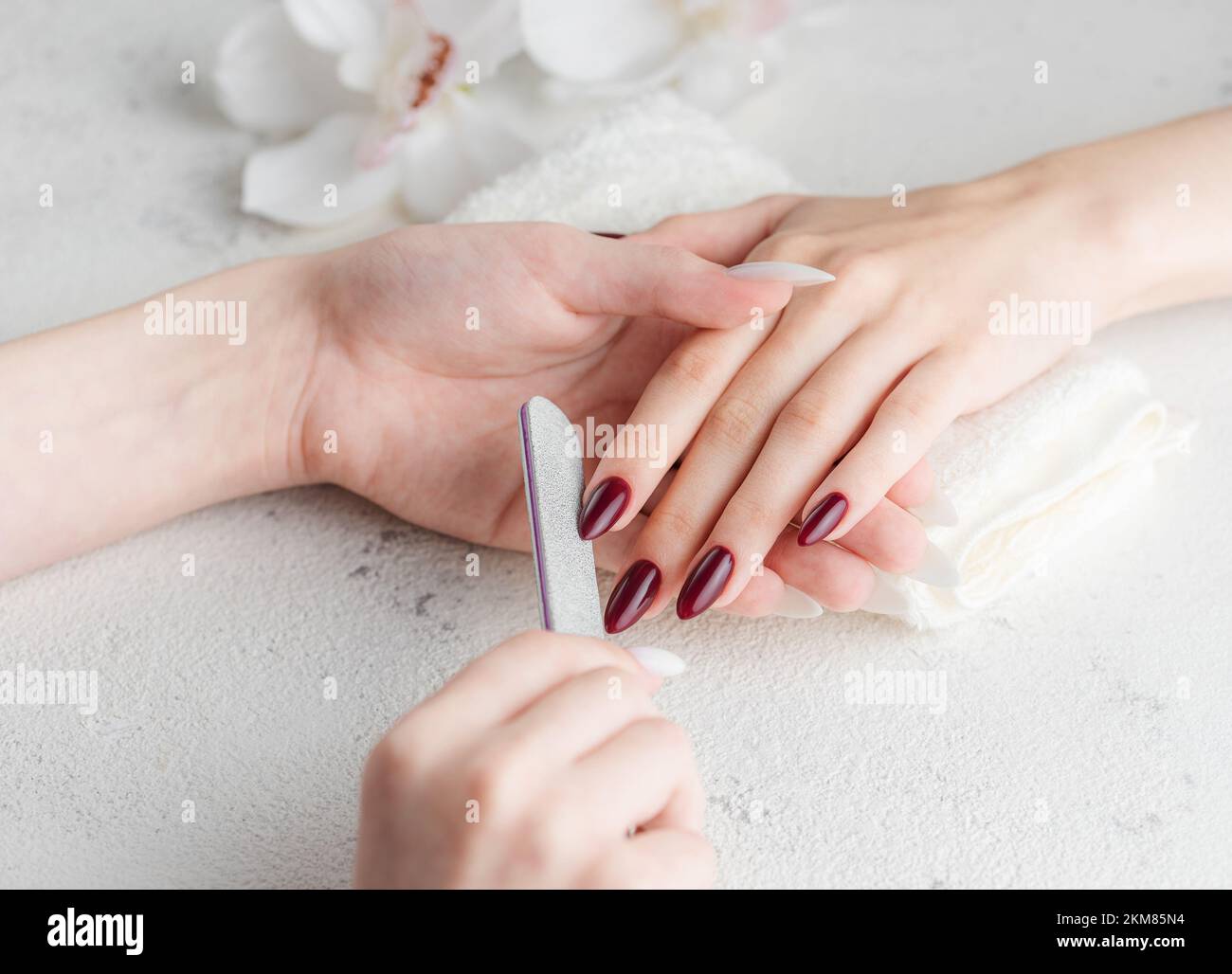 Belle mani di una giovane donna con manicure rosso scuro sulle unghie. Processo di manicure. Foto Stock