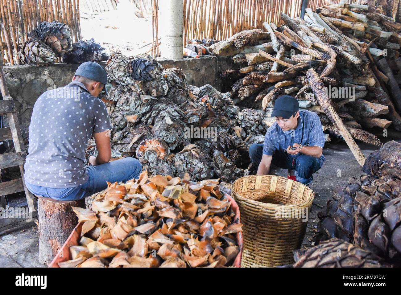 I lavoratori tritano i cuori di agave arrostiti in una fabbrica artigianale di mezcal, stato di Oaxaca, Messico Foto Stock