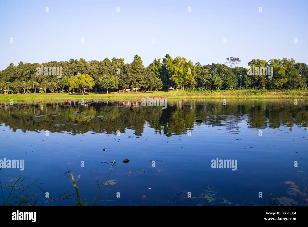 Vista del paesaggio naturale riflessione degli alberi nell'acqua del lago contro il cielo blu Foto Stock