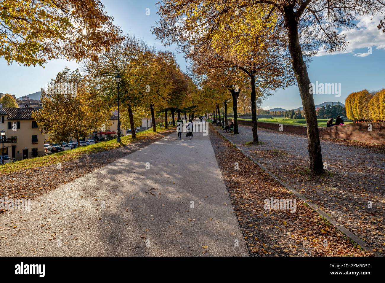 Le persone camminano sulle antiche mura perimetrali di Lucca, Italia, sotto alberi dalle coloratissime sfumature autunnali Foto Stock