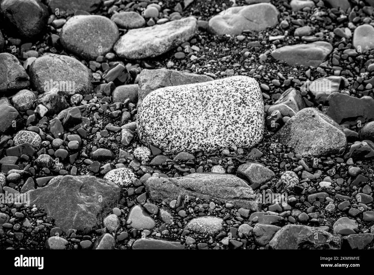 Primo piano di una roccia dai colori vivaci tra rocce di colore scuro su una spiaggia dell'Antartide. Foto Stock