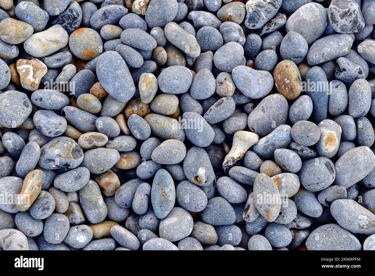 Ciottoli grigi su una spiaggia per uno sfondo o un elemento di design Foto Stock
