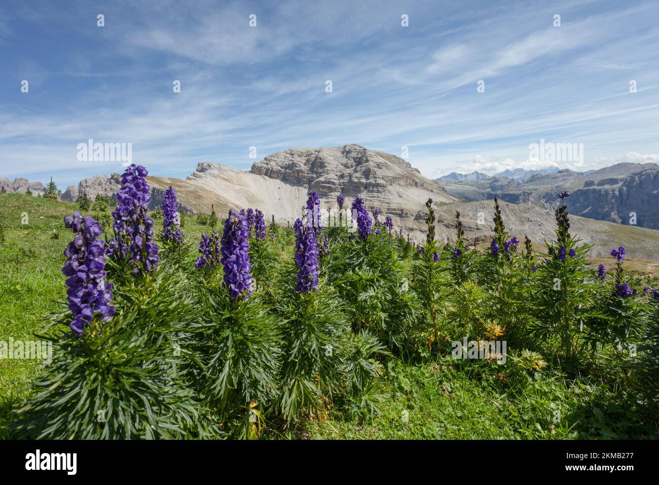 Ampia vista di una valle alpina tra le Dolomiti in Val Gardena (Gruppo Puez sullo sfondo) Foto Stock
