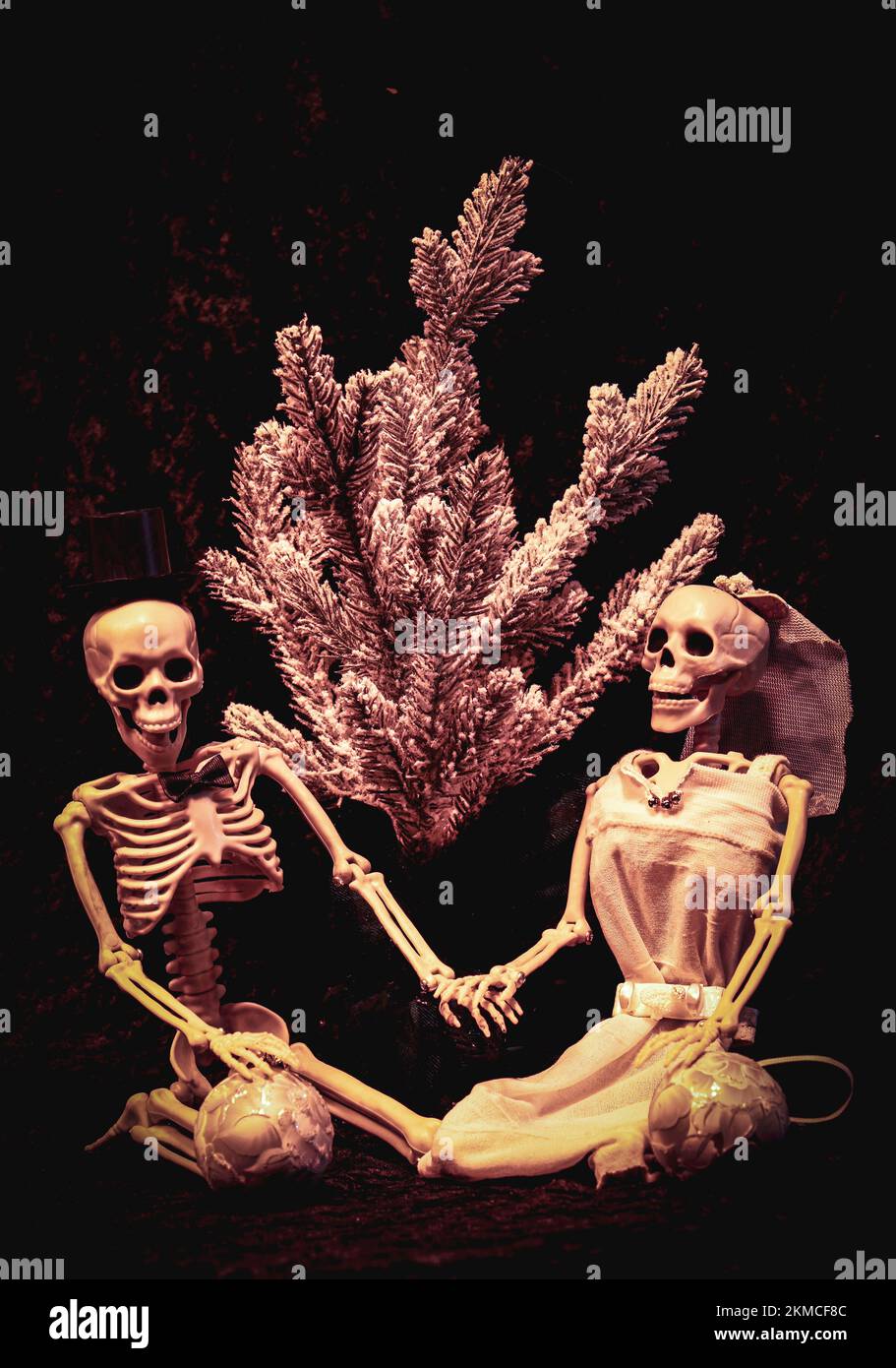Sposa scheletro e Groom che si prepara a decorare un albero di Natale Foto Stock