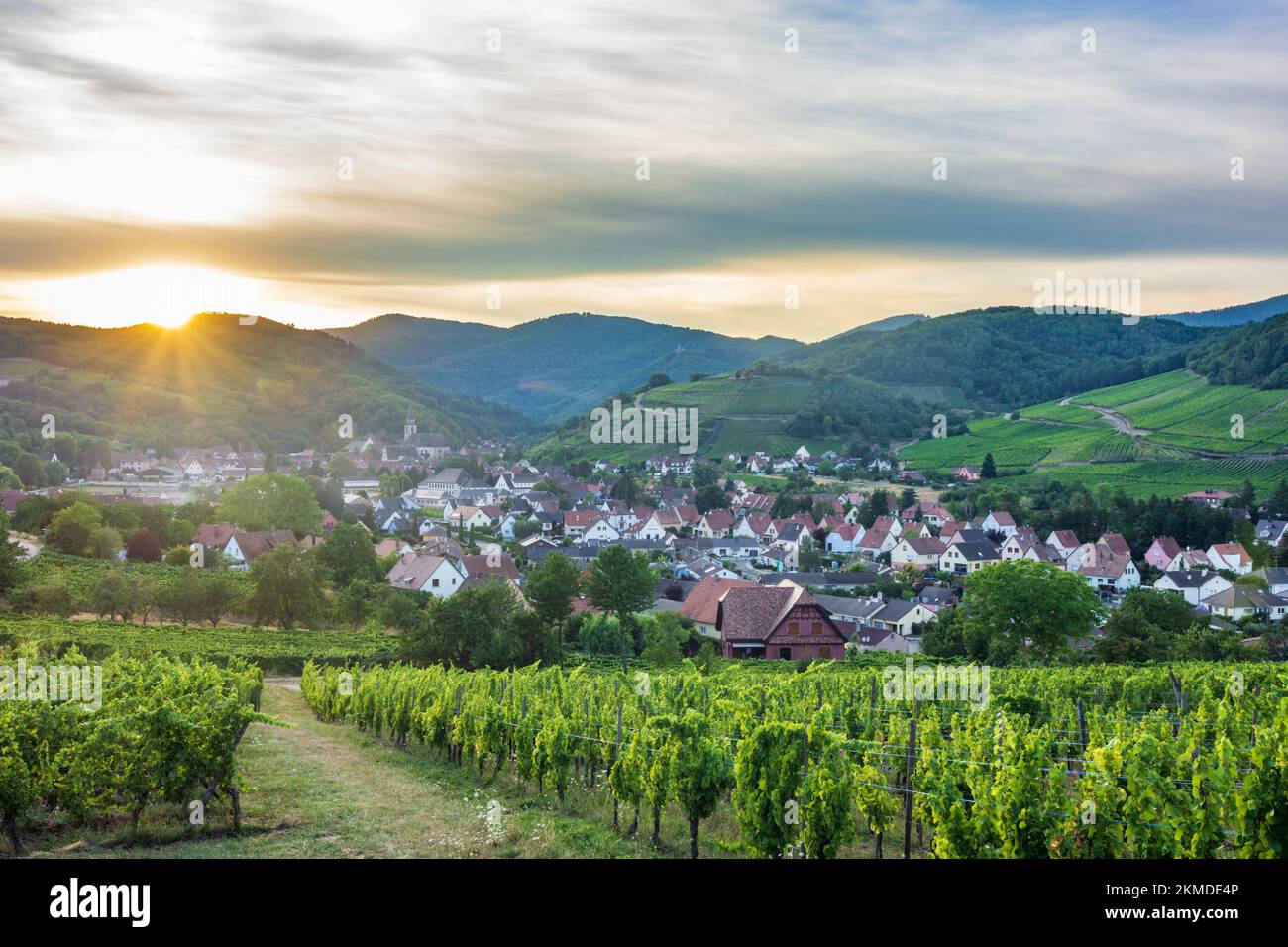 Andlau: Villaggio Andlau, vigneti, Vosgi montagne, tramonto in Alsazia (Elsass), basso Reno (Unterelsass), Francia Foto Stock