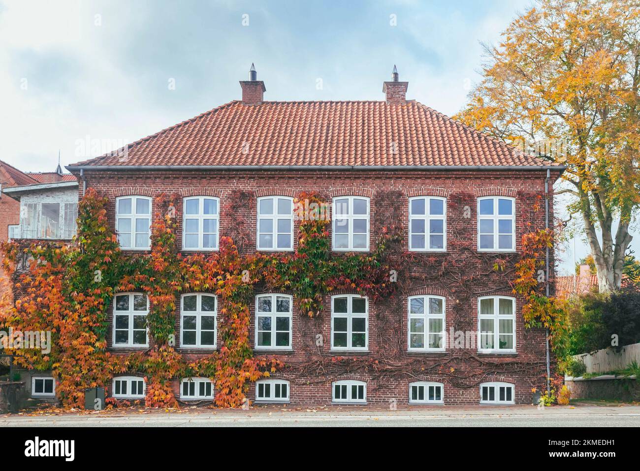 Bella casa di tenement cresciuto con edera selvatica in autunno Danimarca Foto Stock