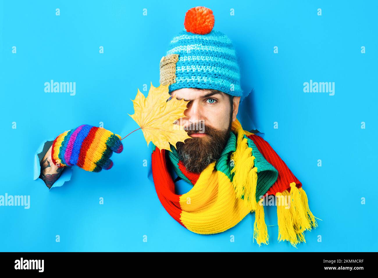 L'uomo serio si nasconde da foglia di acero autunnale. Maschio bearded in cappello colorato, sciarpa e guanti. Foto Stock