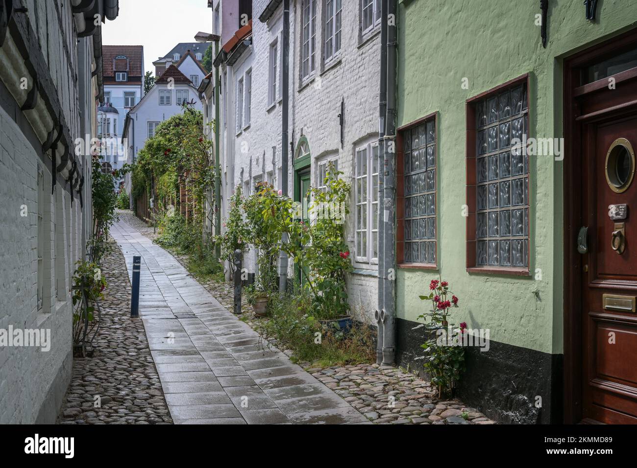 Centro storico di Flensburg, tipico vicolo stretto tra piccole case di città con rose sulle facciate in ciottoli, destinazione turistica, focus selezionato, Foto Stock