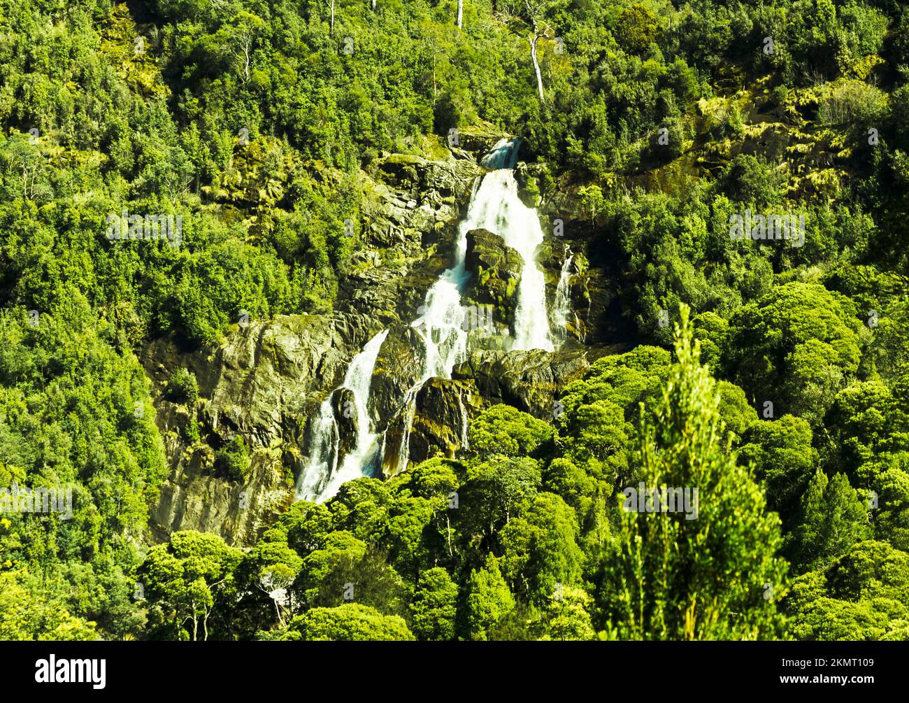 Verde paesaggio naturale su una tranquilla cascata rocciosa nella vibrante foresta pluviale. Cascate di St Columba, Nord-est della Tasmania, Australia Foto Stock