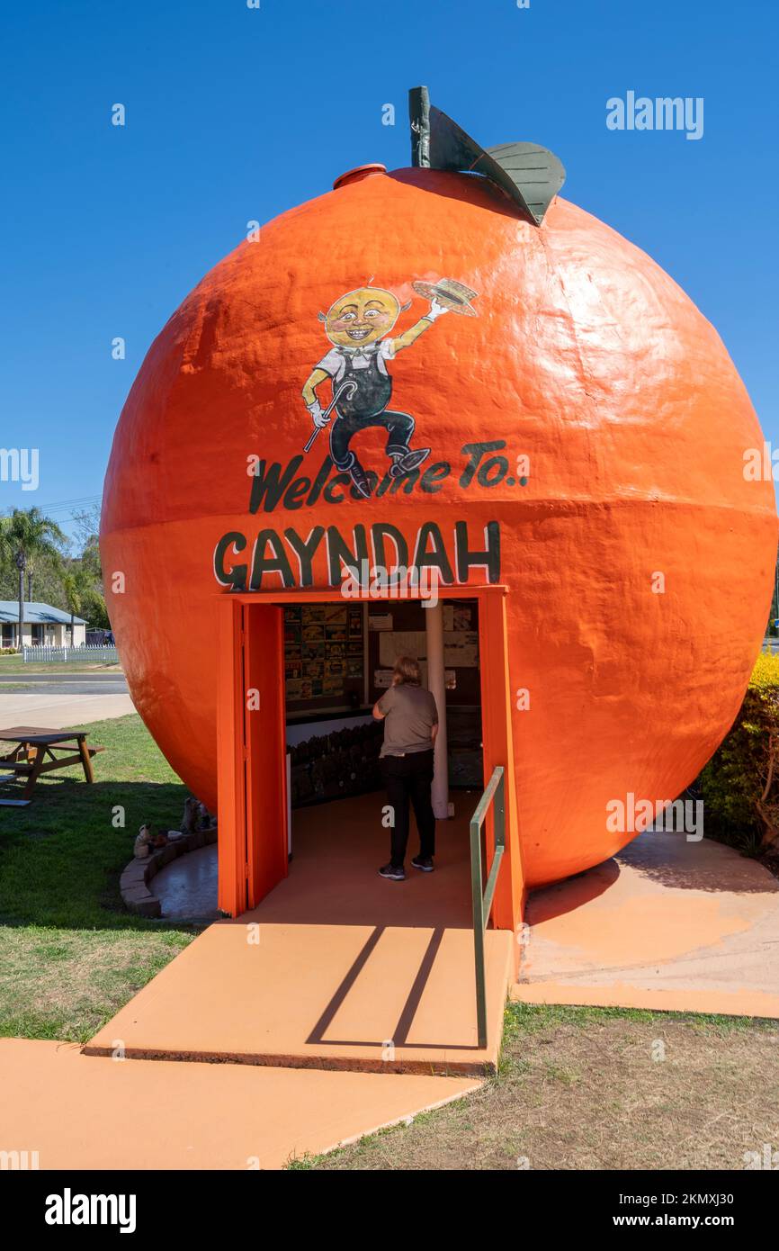 The Big Orange Cafe and Tourist Information Centre, Gayndah, North Burnett, Queensland, Australia Foto Stock