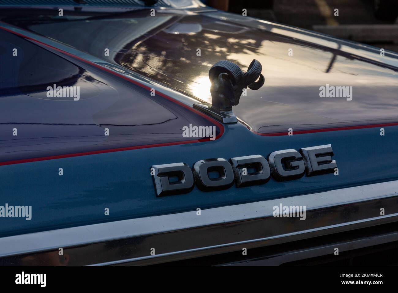 Un ornamento del cofano della testata del cilindro sul cofano di un vecchio autocarro Dodge pick-up. Foto Stock