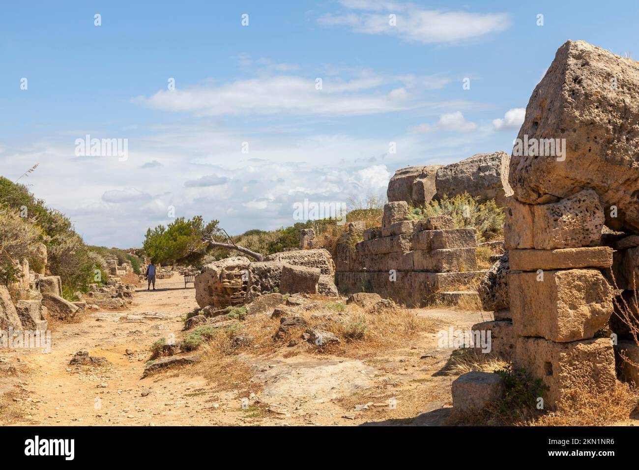 Sito archeologico, Selinunte, Provincia di Trapani, Sicilia, Italia, Europa Foto Stock