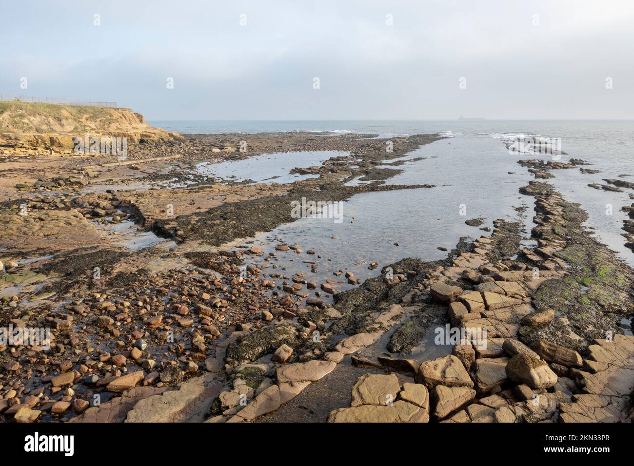 La riva a Cullercoats, Tyne e Wear in Inghilterra Foto Stock