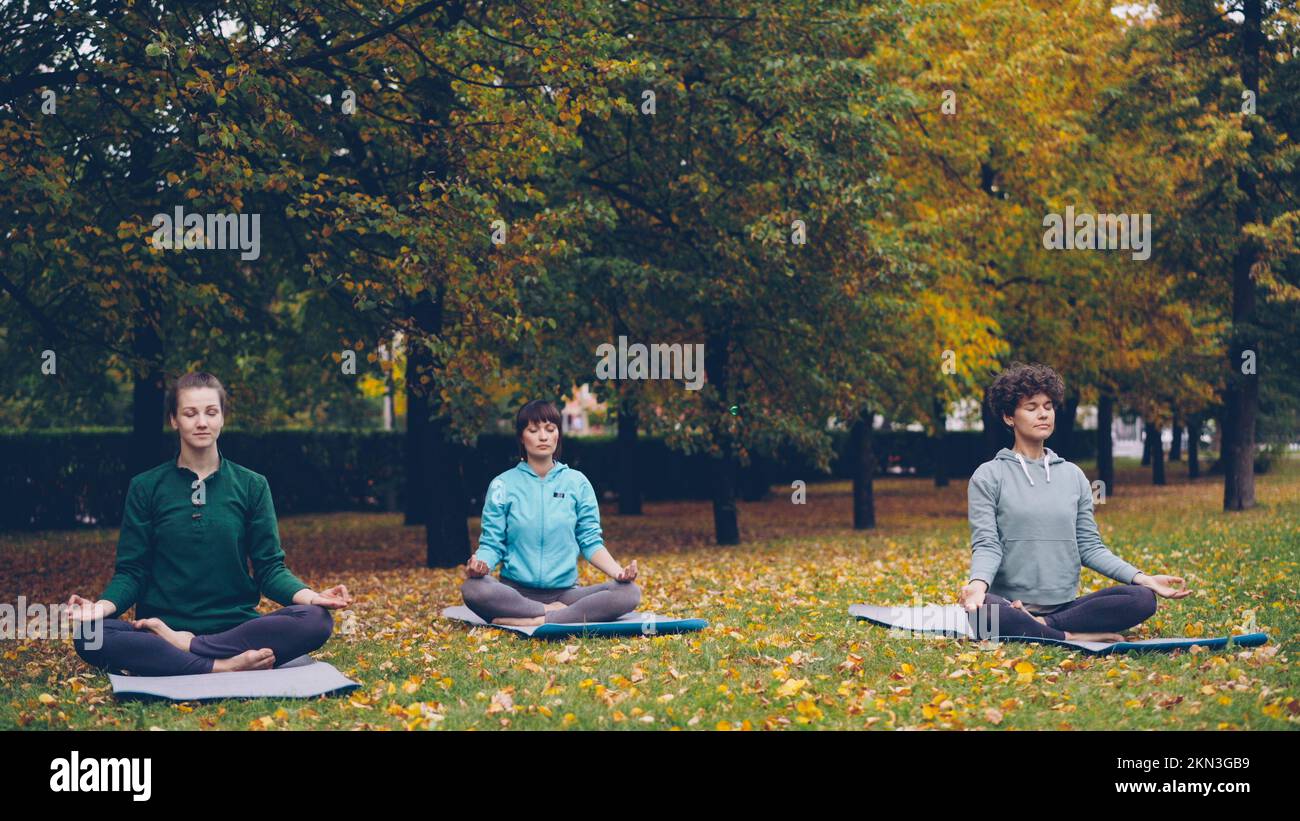 Le donne giovani e graziose si rilassano seduti in posizione lotus sui tappetini yoga nel parco e respirano aria fresca riposandosi dopo la pratica di gruppo all'aperto. Meditazione e concetto di natura. Foto Stock