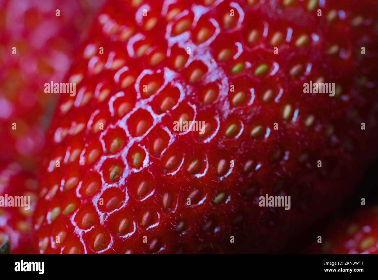 Le fragole succose ti fanno desiderare di mangiarle in qualsiasi momento. colori vivaci Foto Stock