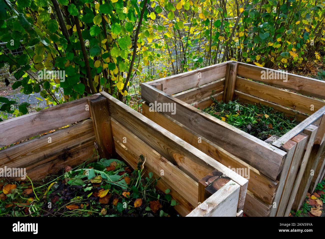 Allot giardino composter all'aperto, due composters in legno in un giardino d'autunno fare biologicamente humus compostaggio scatola Foto Stock