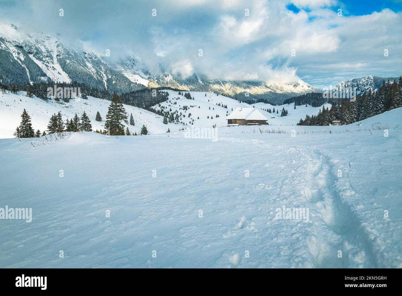Splendido paesaggio invernale e sentiero innevato nella bellissima natura selvaggia, Carpazi, Romania, Europa Foto Stock