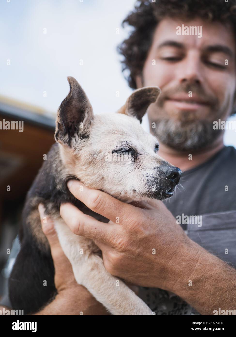 Piccolo cane falce e decrepito da vicino da uomo caucasico Foto Stock