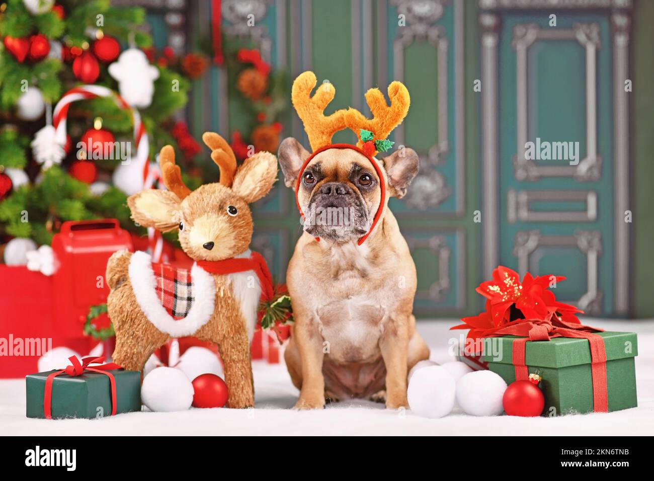 Carino cane Bulldog francese con fascia in costume da renna con corna seduta accanto alla decorazione di Natale di fronte al muro verde Foto Stock