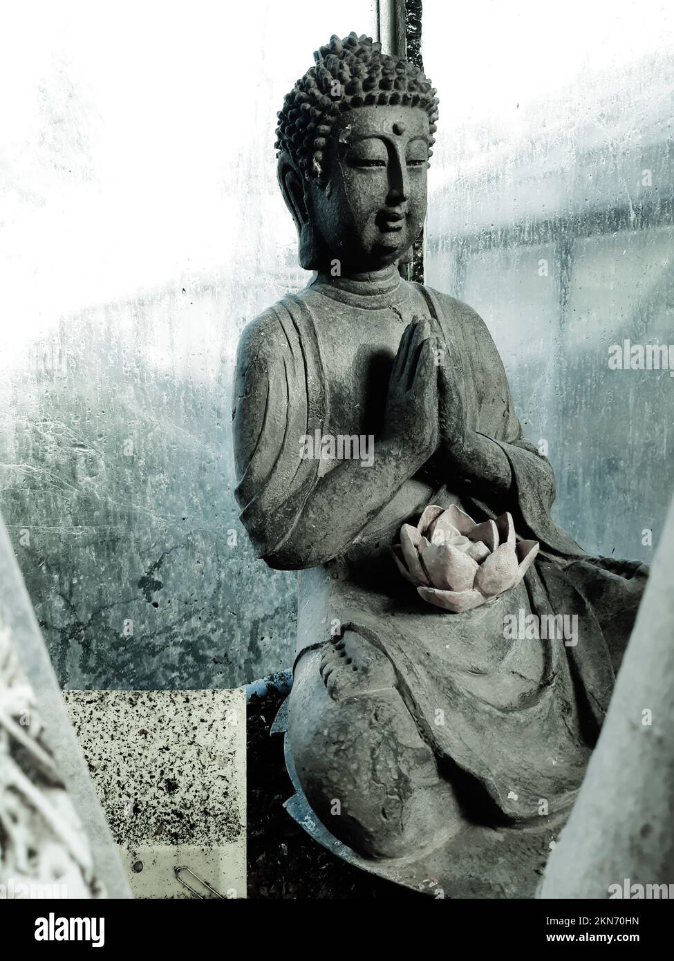 Buddha nel giardino botanico di Liegi - Belgio Foto Stock