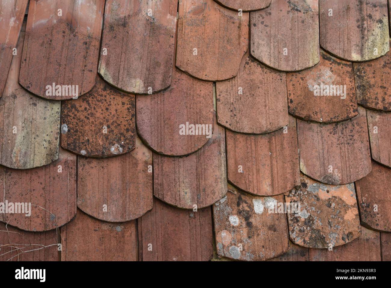 Piastrelle in rovina sulla vecchia casa. Foto Stock