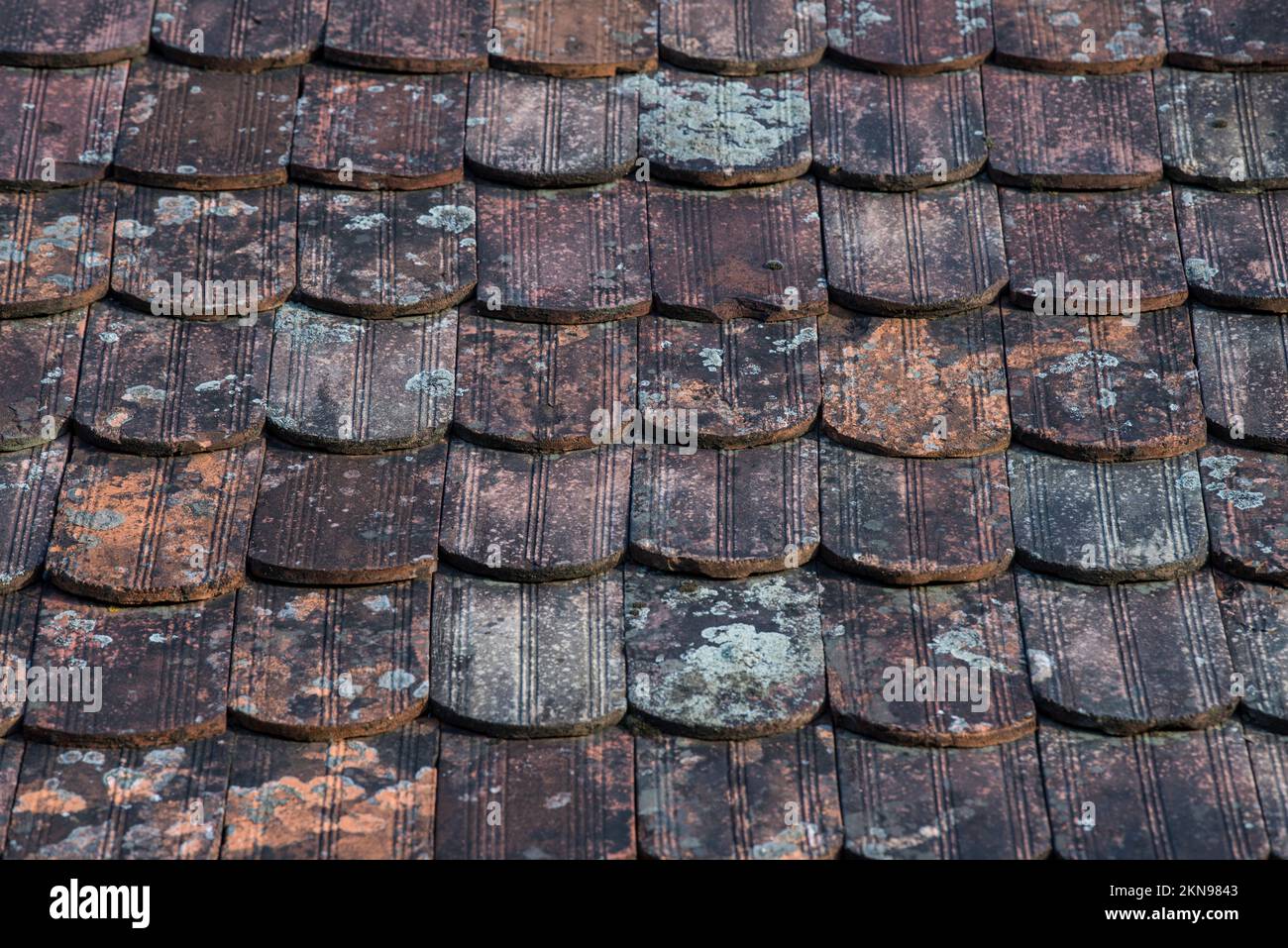 Piastrelle in rovina sulla vecchia casa. Foto Stock