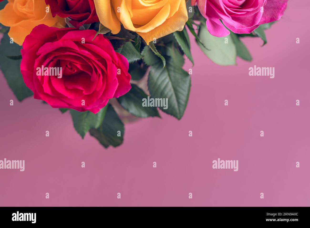 Mazzo di rose colorate Foto Stock
