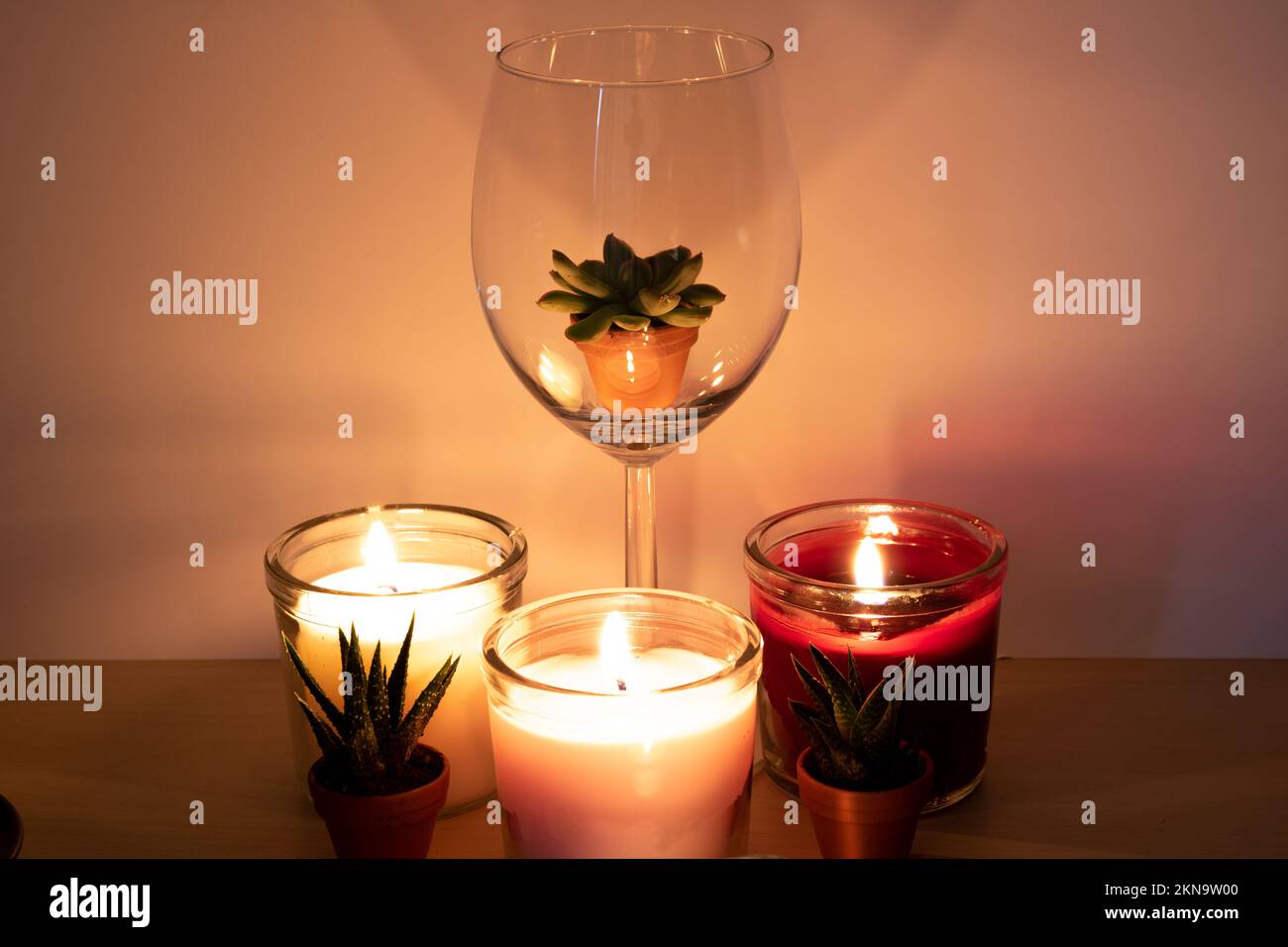 foto vetro succulento accanto a tre candele accese Foto Stock