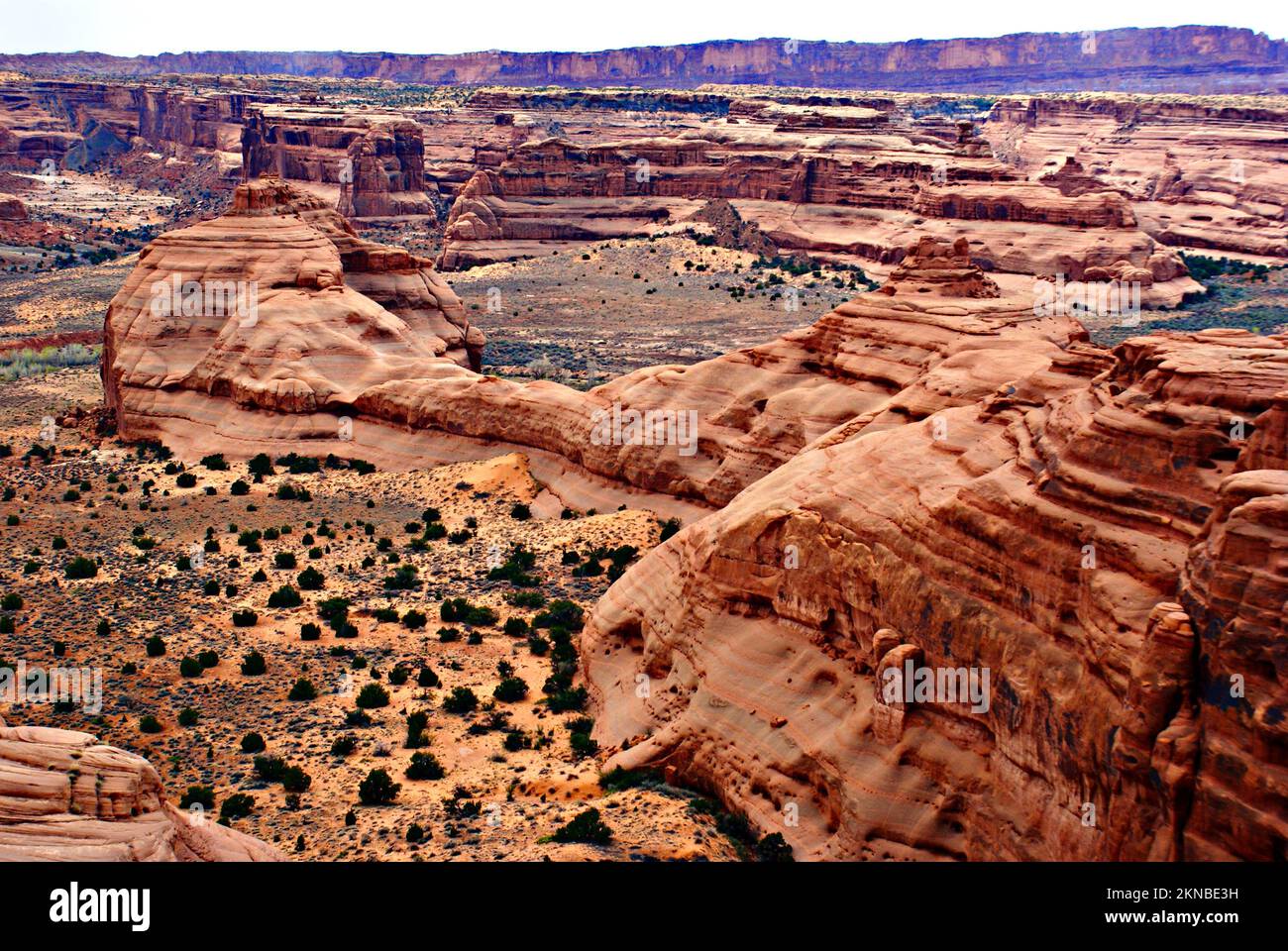 I colori e le formazioni rocciose del deserto sono davvero notevoli. Foto Stock