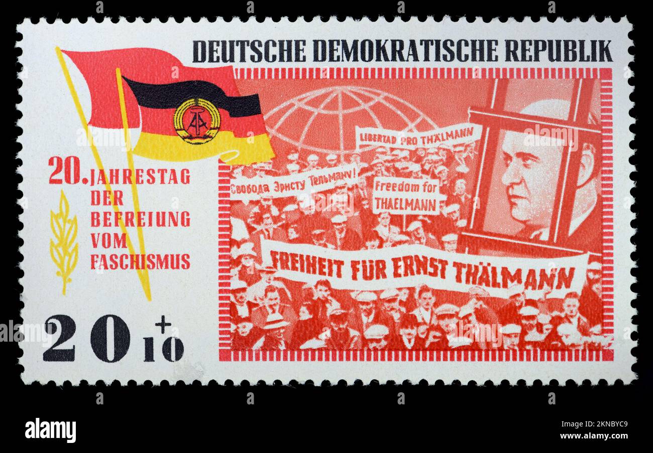Francobollo tedesco orientale (DDR) (1965) : 20th° anniversario della "libertà dal fascismo" dopo il WW2 - dimostrazione: Libertà per Ernst Thälmann- comunista Foto Stock