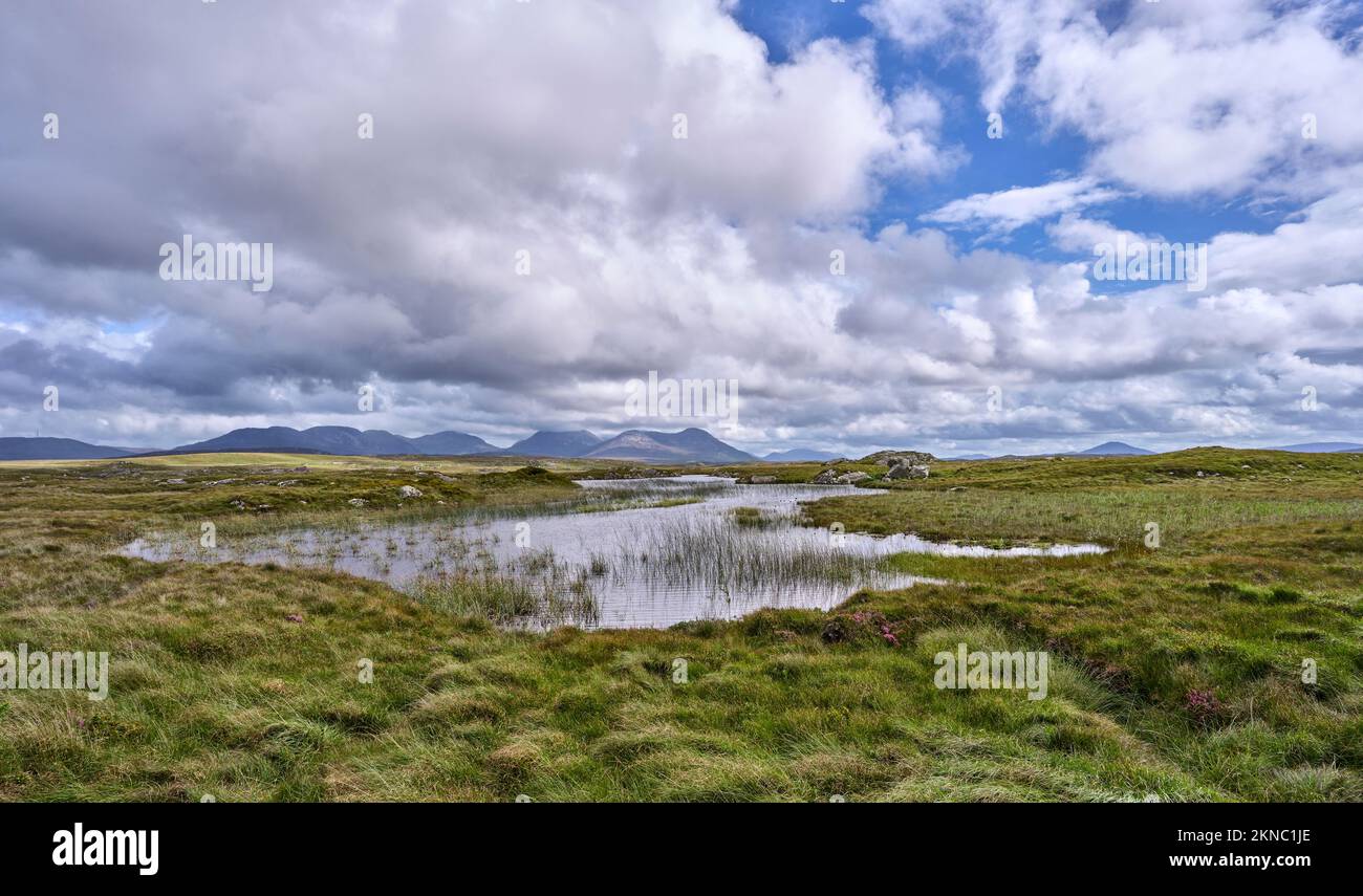 Palude e paesaggio di erica in Connemara, Contea di Galway, Repubblica di IrelandIrlanda Foto Stock