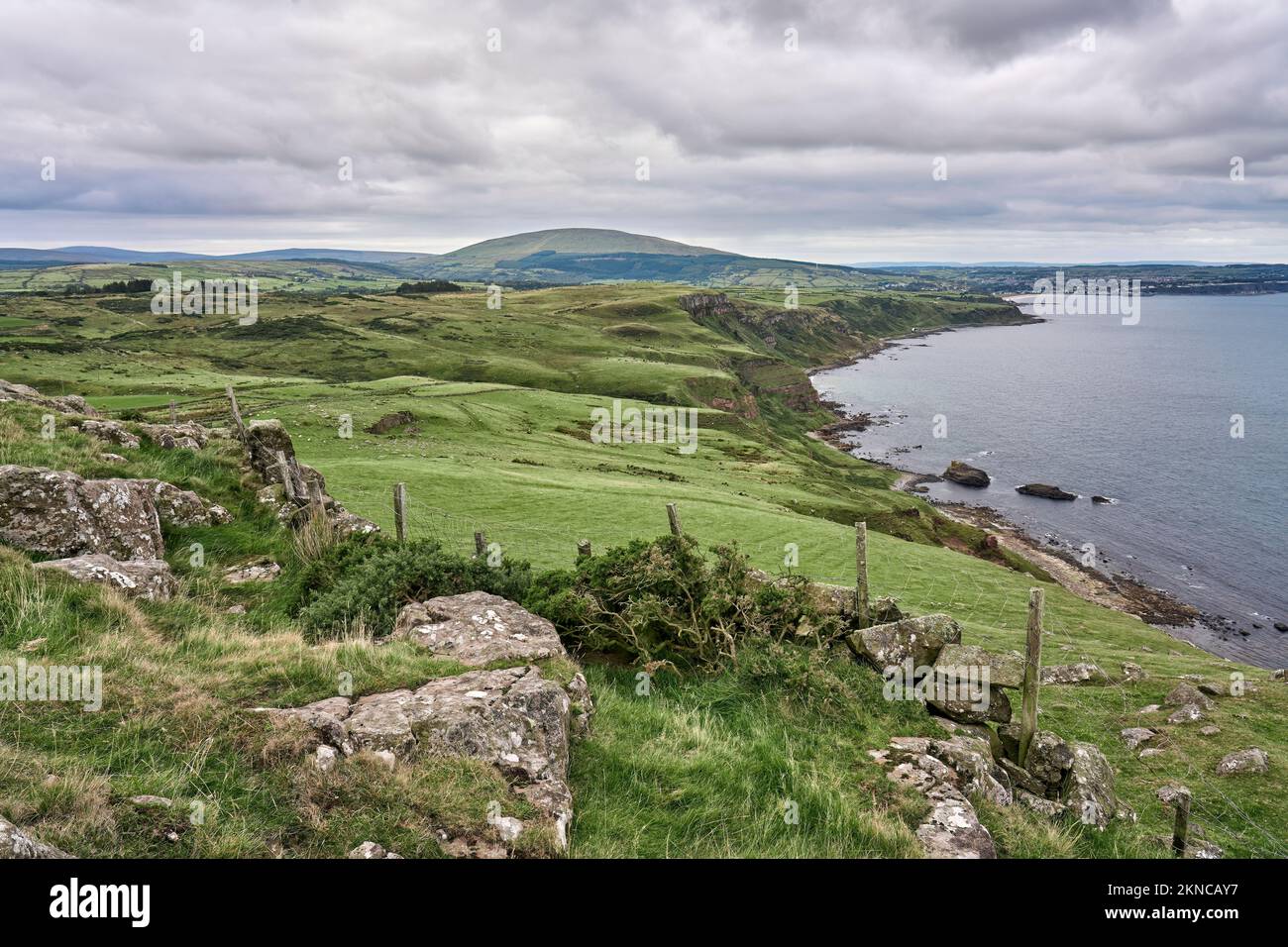 Pascoli verdi, deviati da siepi e muri di pietra nella Repubblica d'Irlanda Foto Stock