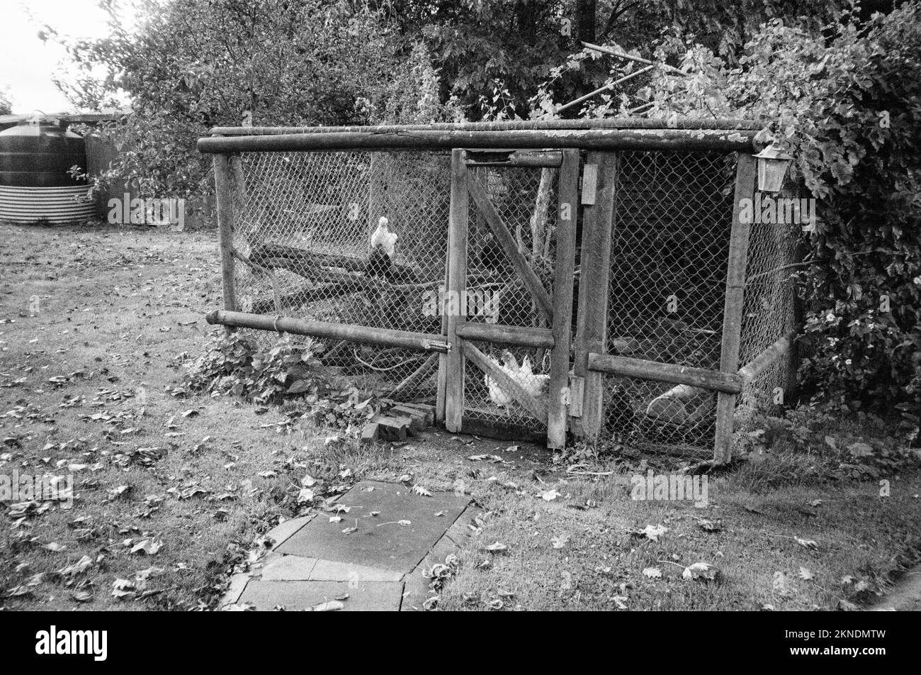 Pollo hutch, Medstead, Hampshire, Inghilterra, Regno Unito. Foto Stock
