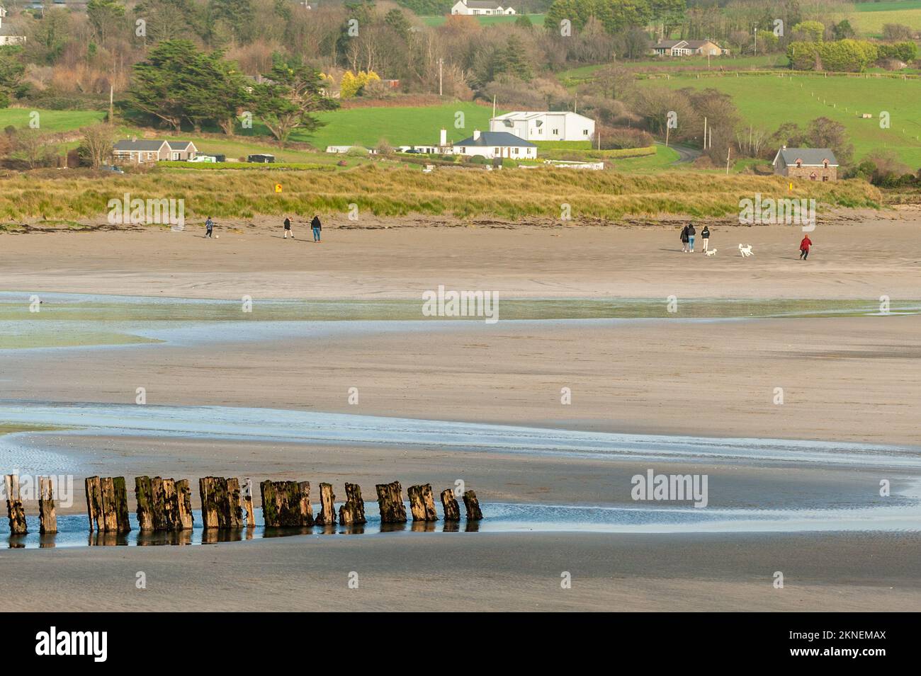 Harbour View, West Cork, Irlanda. 27th Nov 2022. In una fredda ma soleggiata Domenica di Novembre, le persone camminano i loro cani su Harbour View Beach in bella luce. Credit: AG News/Alamy Live News Foto Stock