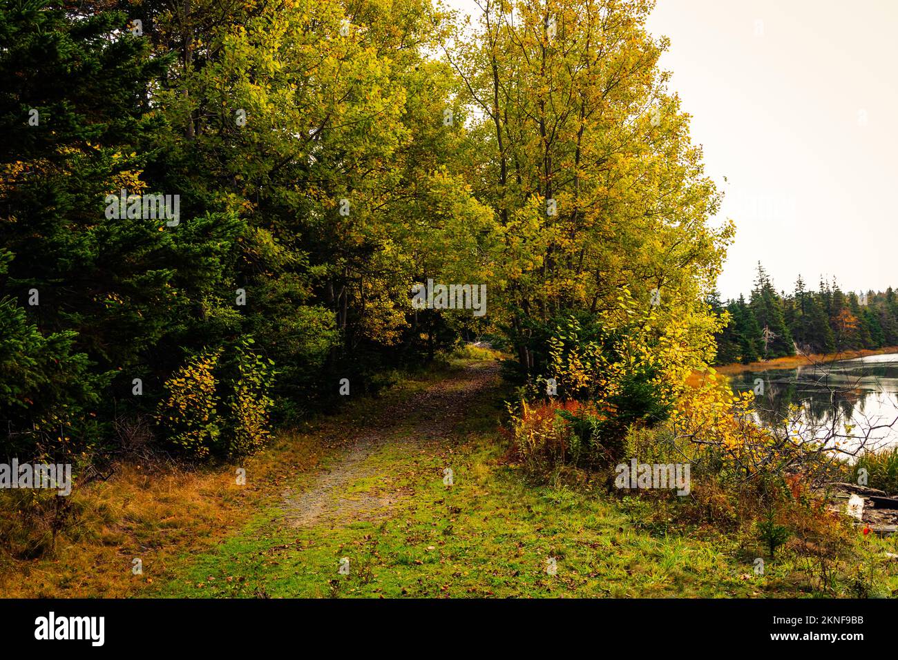 Garrison Road, isola di mcnabs, Halifax, Nuova Scozia, Canada Foto Stock