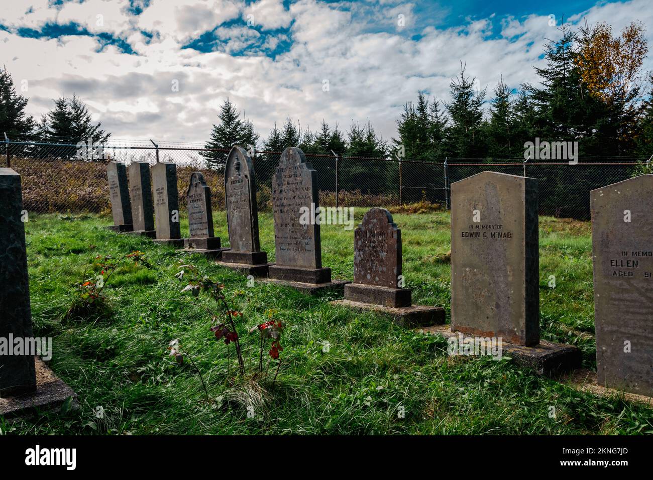Cimitero della famiglia McNabs sull'isola McNabs, accanto a Fort McNab Foto Stock