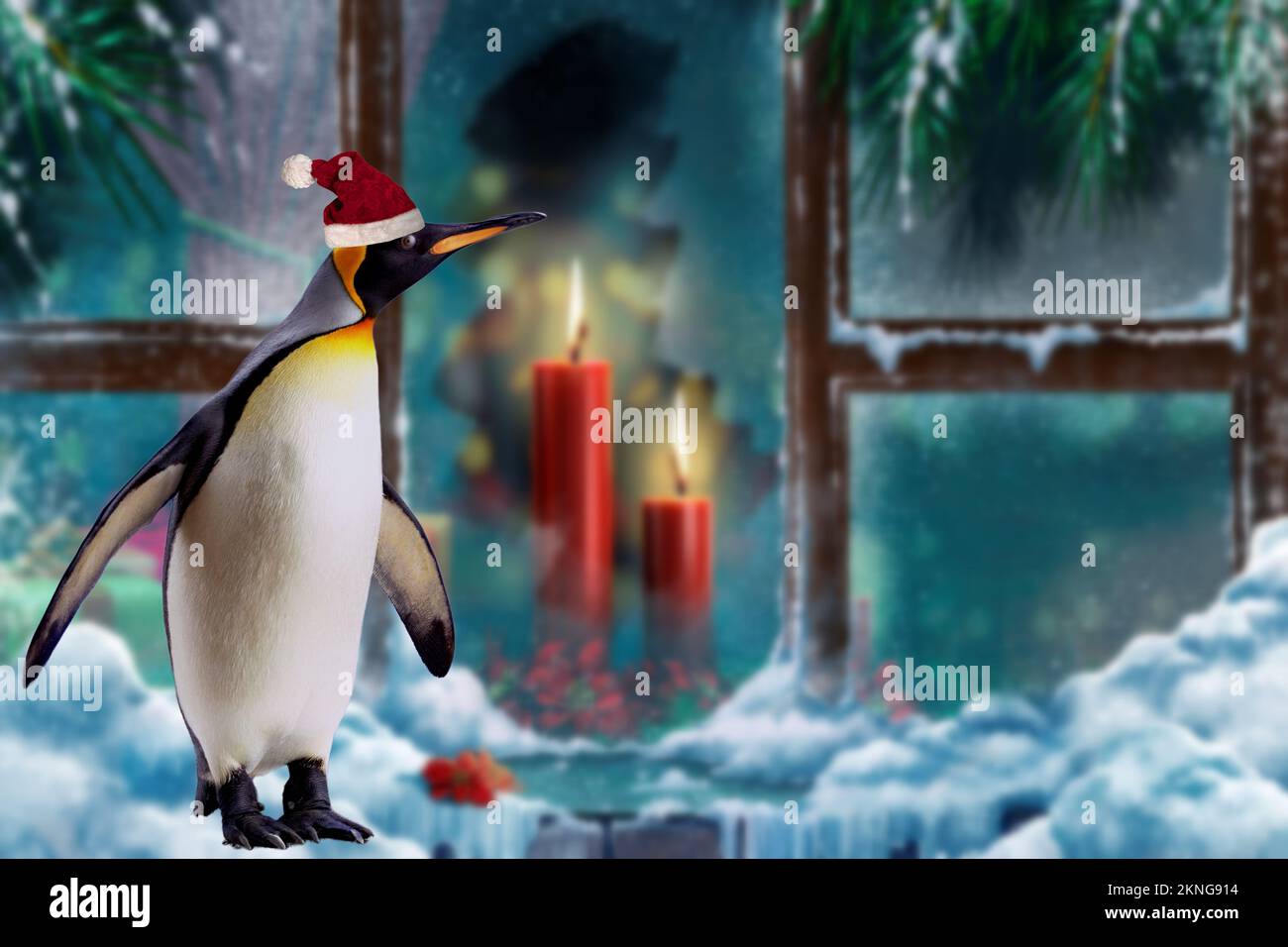 Una cartolina di Natale con un pinguino che indossa un cappello di Natale. Foto Stock