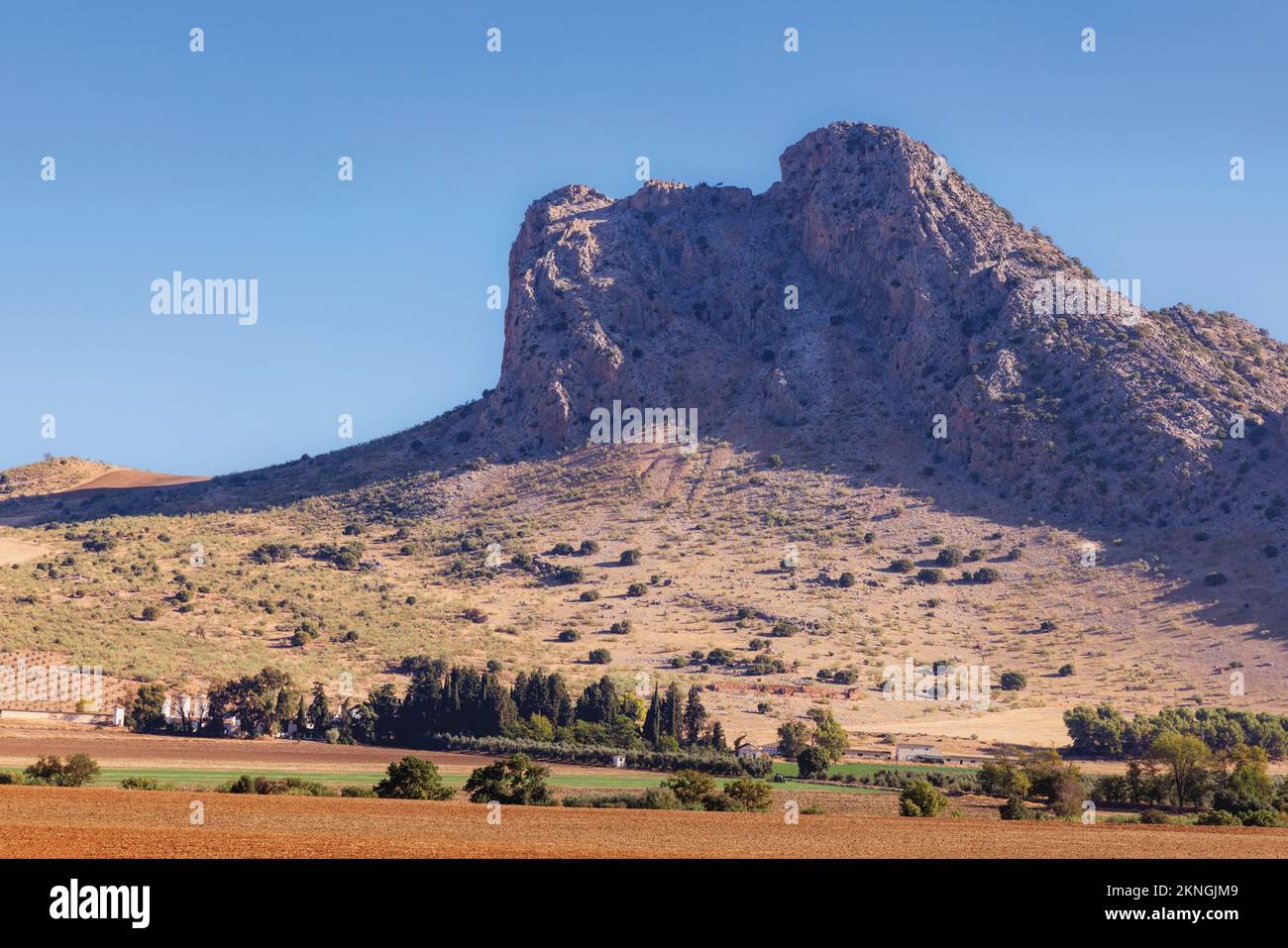 Vicino Antequera, Provincia di Malaga, Andalusia, Spagna meridionale. Campi appena fuori dalla città con la Peña de los Enamorados, (Lovers' Rock) o Montaña d Foto Stock