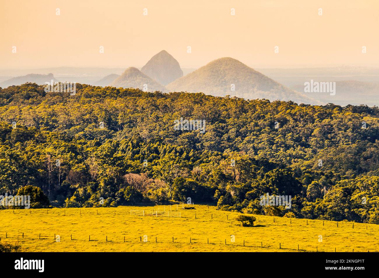 Vibrante paesaggio pomeridiano su lussureggianti campi di fattoria prima di montagne e zone di haze. Glass House Mountains, Queensland, Australia, di fronte a Caloundra Foto Stock