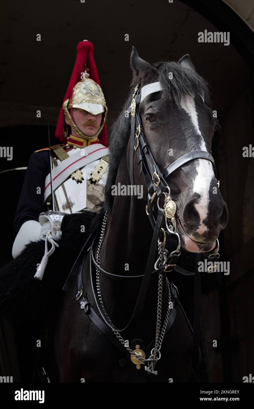 Montato Cavalleria domestica Soldato dei Blues e Royals su Horse Back in montato Ordine di revisione su Sentry Duty, Whitehall Londra UK Foto Stock