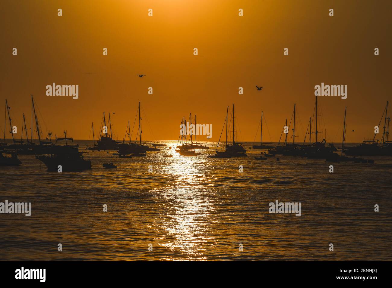 Abbracciare l'ora d'oro quando il sole bacia l'orizzonte con una sinfonia di colori del crepuscolo Foto Stock