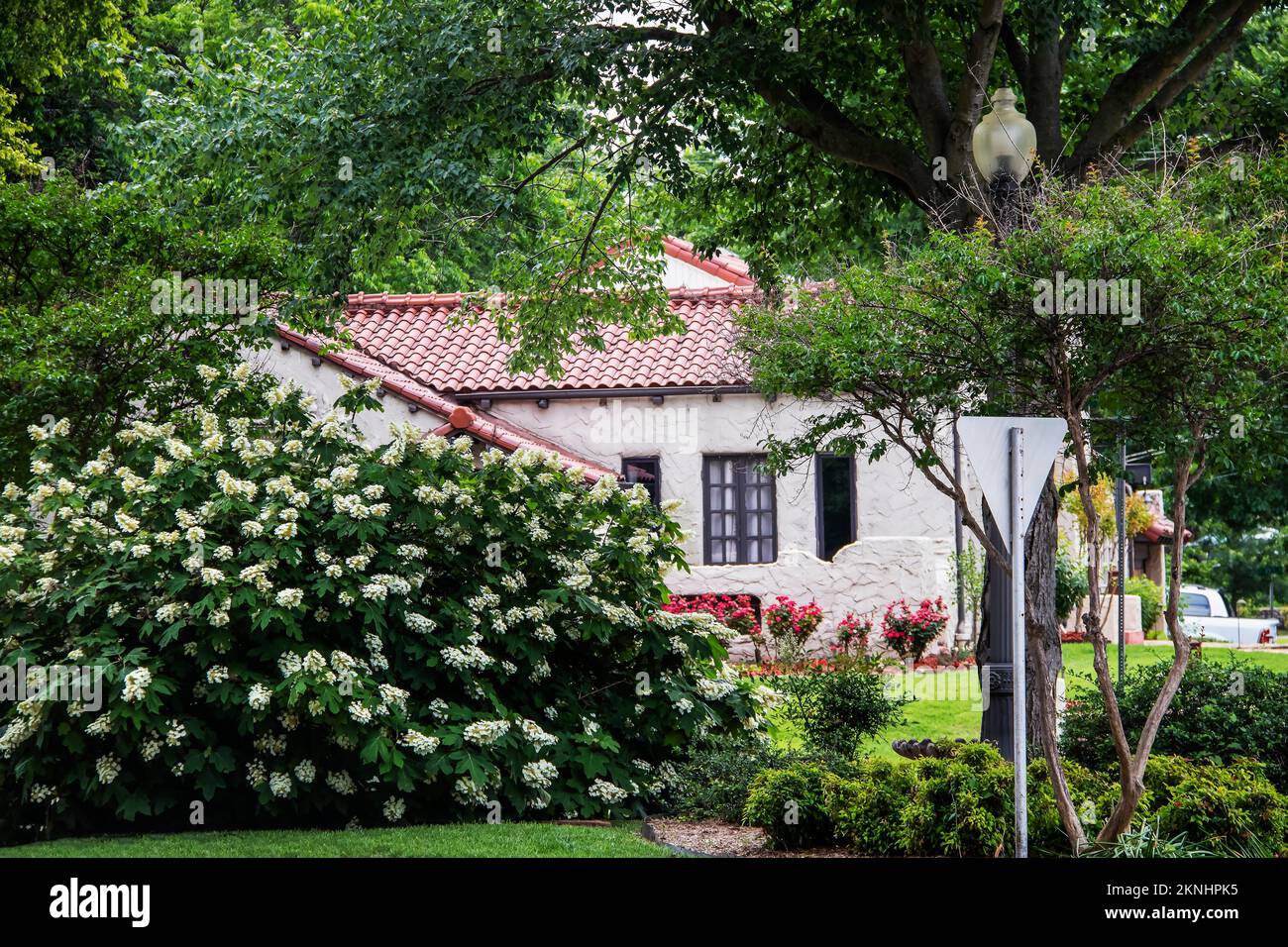 Guardando attraverso i cespugli fioriti e gli alberi a sud-ovest di casa in stile adobe con tetto piastrellato in un bellissimo quartiere di primavera con lampada palo e stree Foto Stock