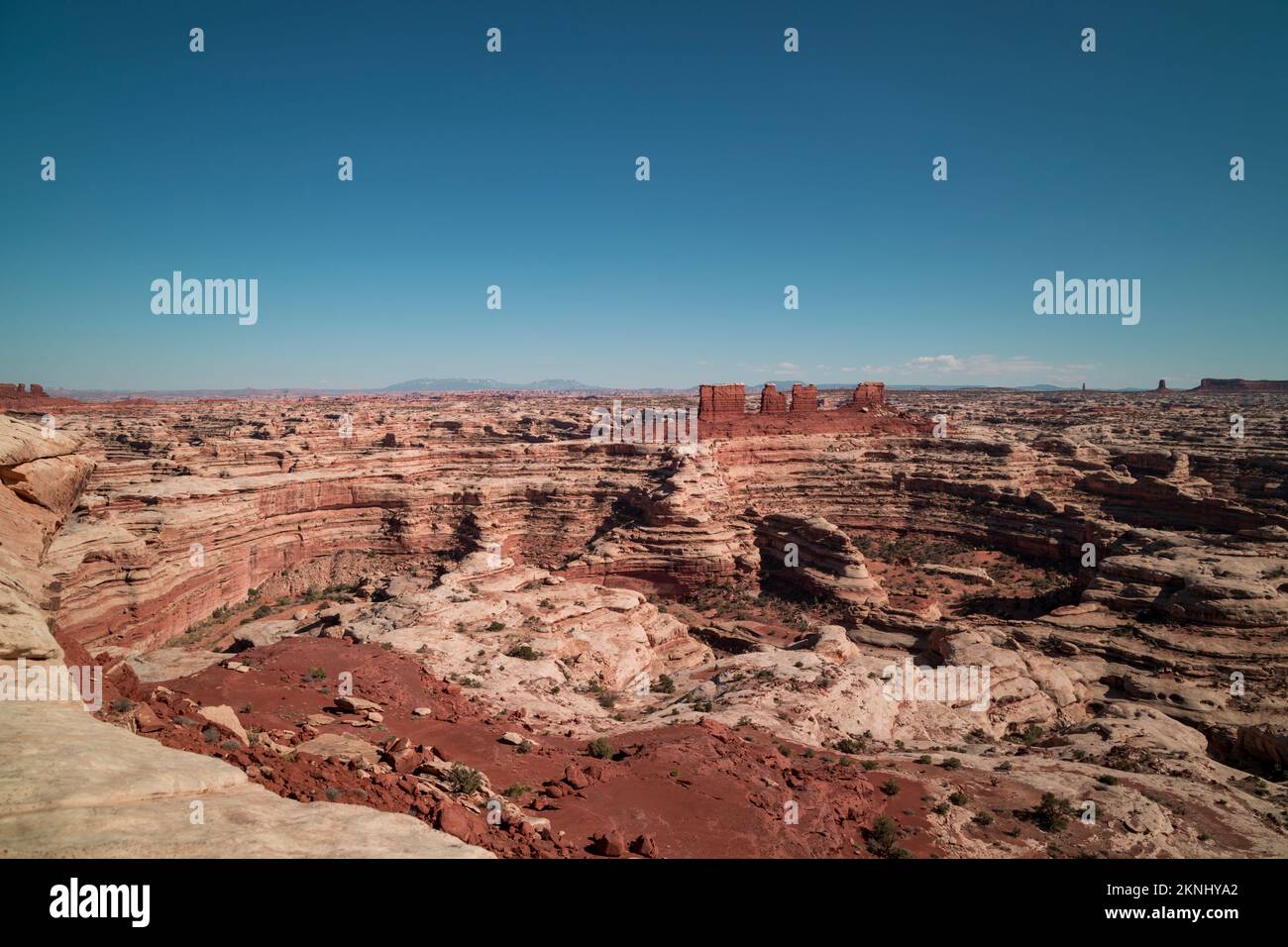 Vista dal Maze Overlook nel Maze District del Canyonlands National Park in, Utah. Alcune nuvole si vedono all'orizzonte in un cielo altrimenti limpido Foto Stock