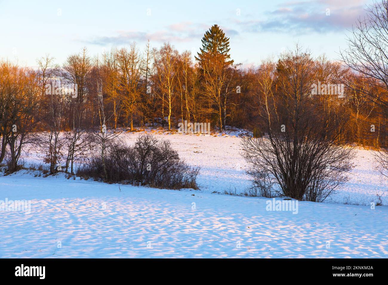 Vista panoramica invernale serale dall'altopiano boemo e moravo vicino alla città di Velke Mezirici, Repubblica Ceca Foto Stock